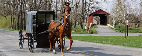 Things To Do in Amish Country - Shipshewana Bed and Breakfast ...