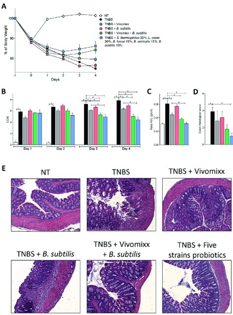 Effects of probiotics blends on acute colitis. Acute colitis was ...