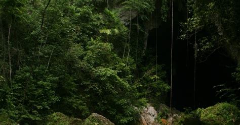 M. Josef Shafer: The cave at Blue Creek, Belize