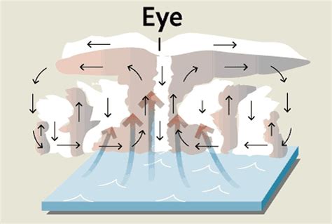 How are typhoons formed? A step-by-step guide - The Globe and Mail