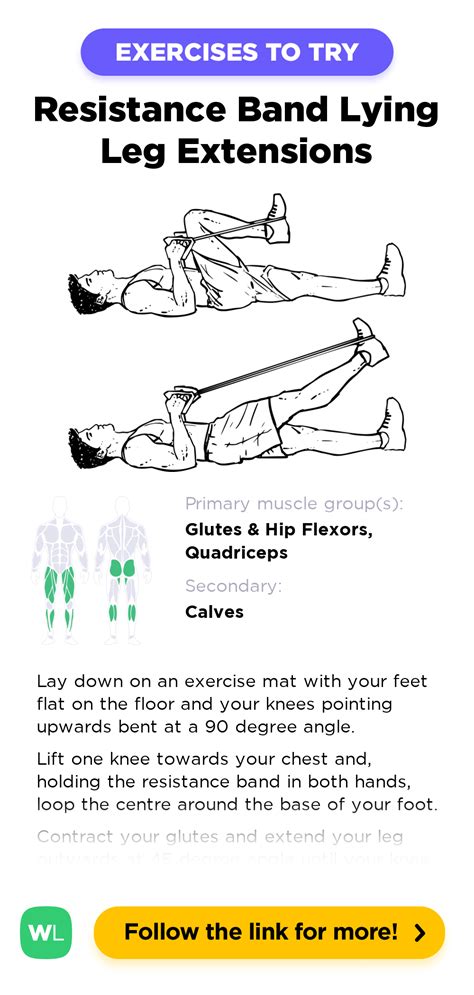 Resistance Band Lying Leg Extensions – WorkoutLabs Exercise Guide