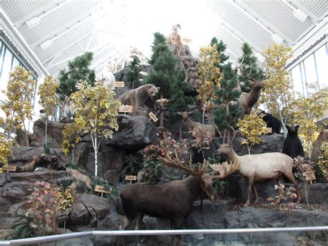 Animal Display, Scheels, Sparks, Nevada | Scheels All Sports… | Flickr