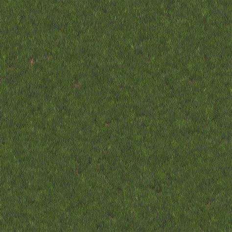 Roblox grass texture seamless - koolcable