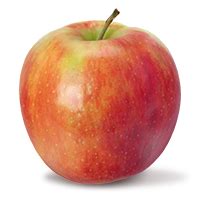 Jonagold Apple Uses | There's an Apple for That