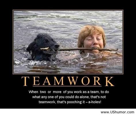 Sunday Giggle: The Power of Teamwork | Work motivational quotes funny ...