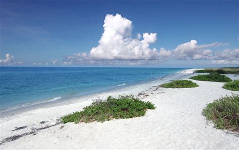 Sanibel Island Guide: What It's Known For & Things To Do