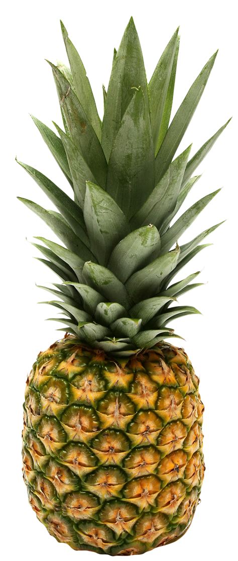 Download Two Pineapple PNG Image for Free