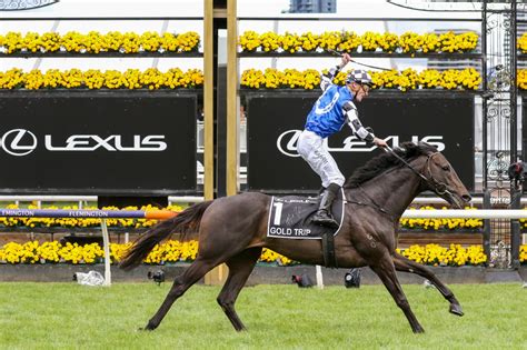 Melbourne Cup 2023 Field, Odds, Betting - Races.com.au