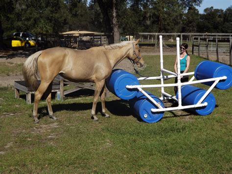 Training, Instruction, Accomplishments @ Equivale | Horse training ...