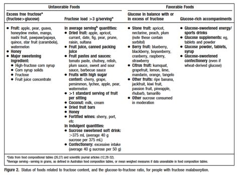 Fructose Malabsorption: A Beginner's Guide to Treatment