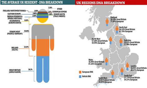 Dna Makeup Of The English | Makeupview.co