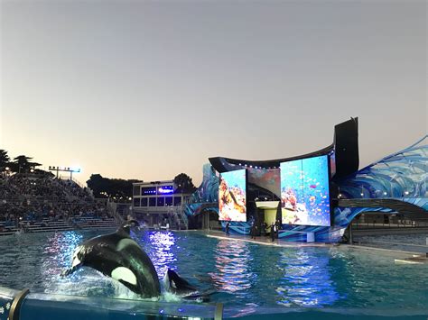 7 Reasons You Should Visit SeaWorld San Diego - Make Life Lovely