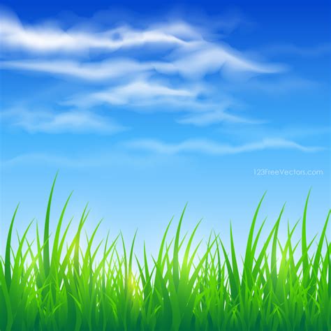 Blue Sky and Green Grass Background | Green grass background, Grass ...