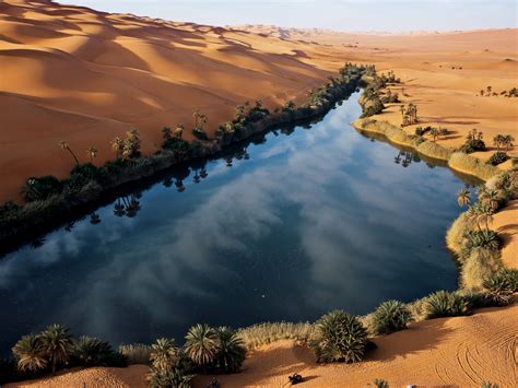 Sahara Desert Oasis Facts