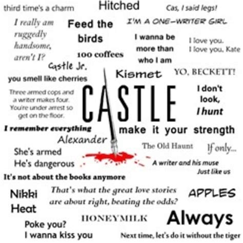 Castle Quotes. QuotesGram