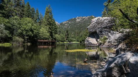 Idyllwild Camping: What They Don’t Tell You - Getaway Couple