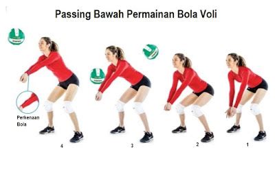 Langkah Langkah Passing Bawah Bola Voli - Homecare24