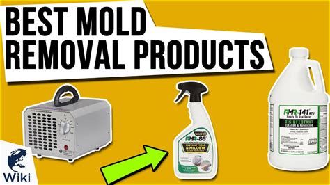 10 Best Mold Removal Products 2020 - YouTube