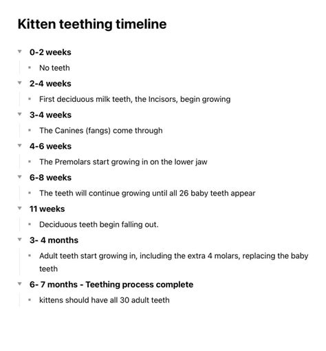 Telling a cat’s age by its teeth [or the lack of them] NEW