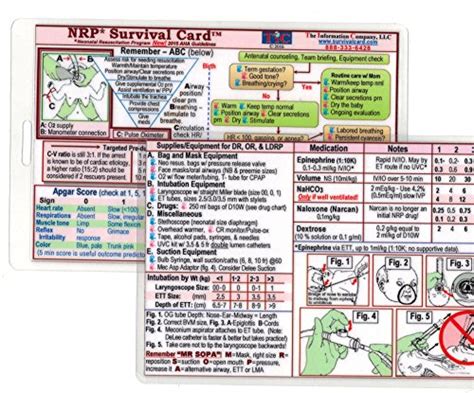 Best Survival Cards In 2024 {Buying Guide} - Welding FAQ