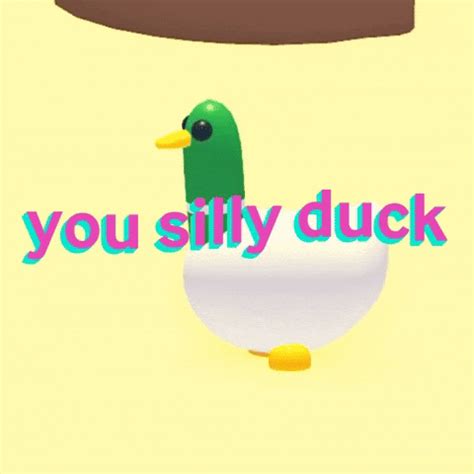 Silly Ducks GIFs - Get the best GIF on GIPHY