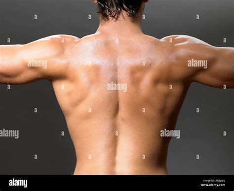 Anatomy rear view back human hi-res stock photography and images - Alamy