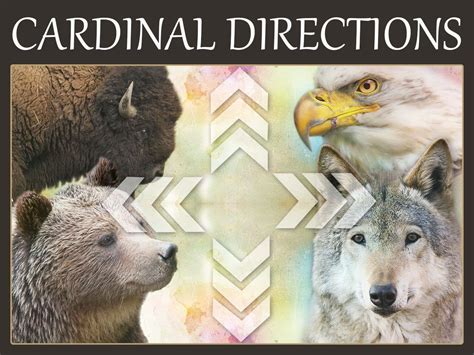 The Cardinal Directions Symbolism & Meanings | Symbols & Meanings