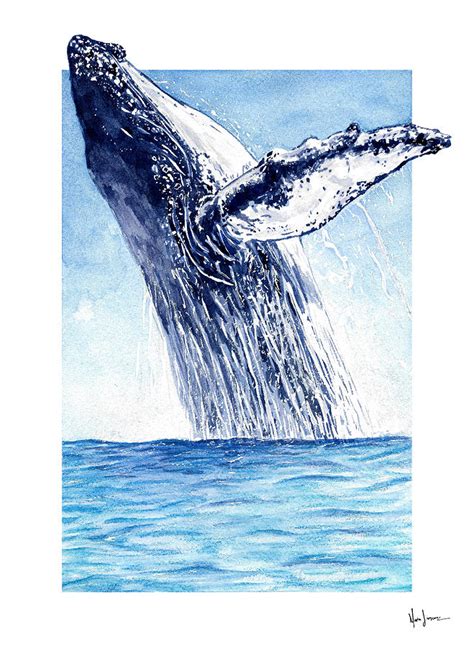 Humpback Whale Breaching Drawing