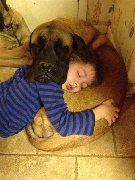 Dogs And Babies Sleeping Are What The World Needs Now | HuffPost