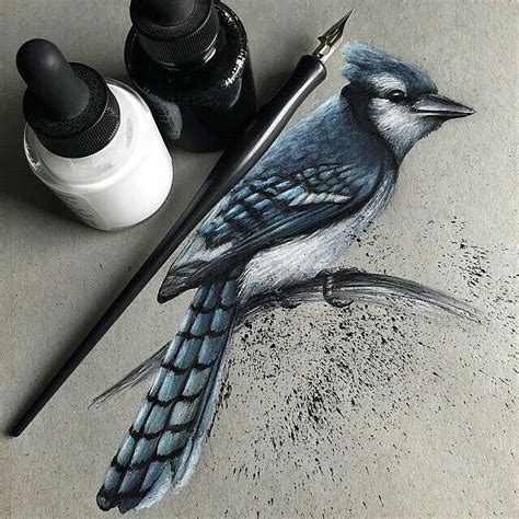 Pencil Drawing Pictures Of Birds at GetDrawings | Free download