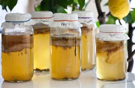 What is Kombucha and is it good for you?