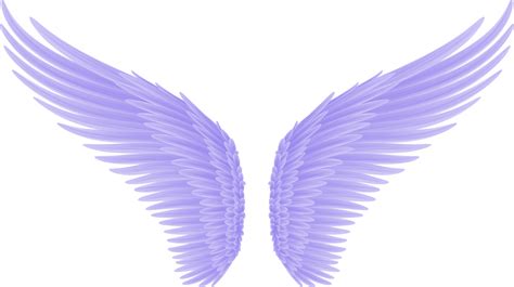 angel bird wings 23211053 PNG