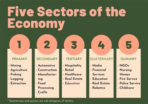 Quinary Sector of the Economy: Definition and Examples (2024)