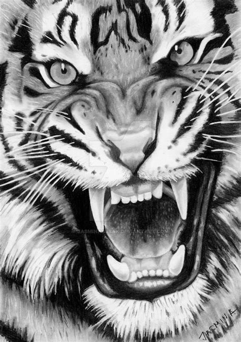 Roaring Tiger - Graphite Drawing by JasminaSusak.deviantart.com on ...