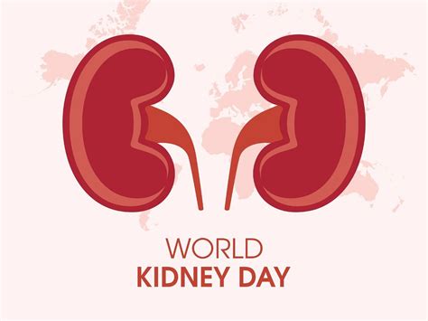 World Kidney Day 2024: History, Theme, Significance & How To Celebrate