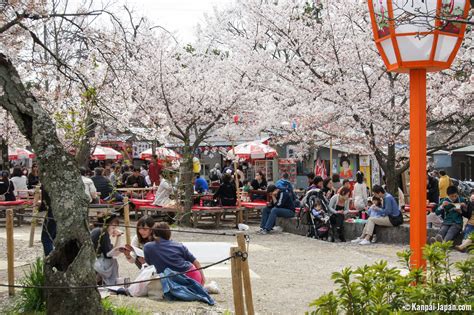 Maruyama park - The big sakura public garden in Kyoto