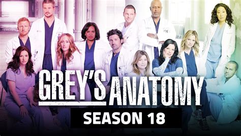 Grey's Anatomy Season 19 - Cancelled or Renewed? - The Artistree