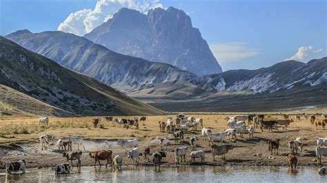 The National Parks of Abruzzo