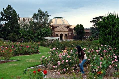 Exposition Park Rose Garden - Los Angeles, California