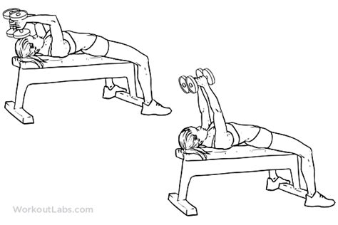 Lying Dumbbell Tricep Extension | Illustrated Exercise guide - WorkoutLabs