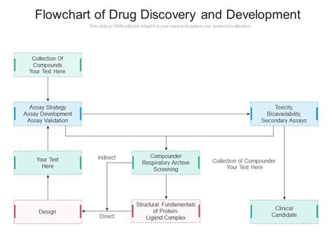 Drug Development Flow Chart