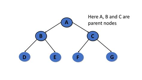 Data Structures(Tree Terminologies)