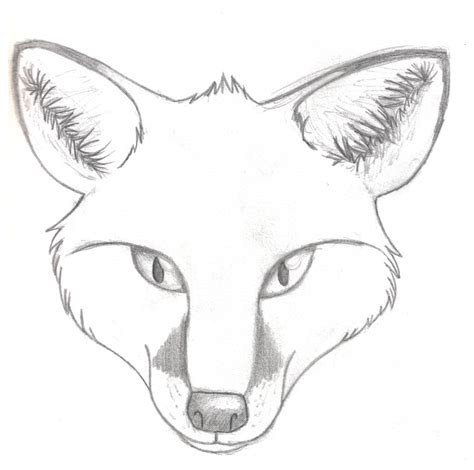 Realistic Fox Head by gabygalaxy on DeviantArt