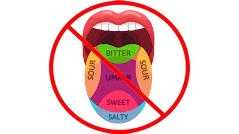 Watch Why This Taste Map Is Wrong | Currents | WIRED