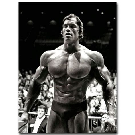 Modern Canvas Painting Arnold Schwarzenegger Bodybuilding Posters ...