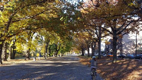 Bronx River Greenway - Gotham Bicycle Tours