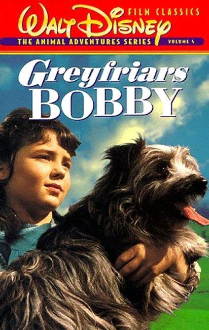 Today's Photo | Greyfriars bobby, Every disney movie, Dog movies