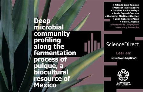 Deep microbial community profiling along the fermentation process of ...