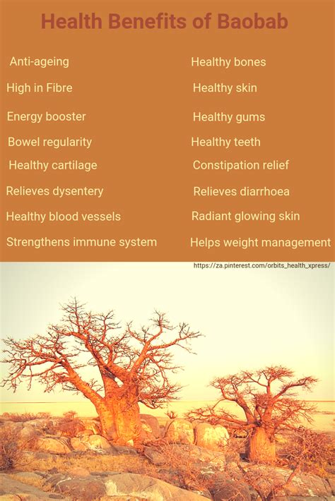 Health Benefits of Baobab | Health benefits, Baobab benefits, Health