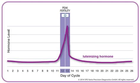 LH hormone and how it impacts your fertility - Pedieos IVF Center